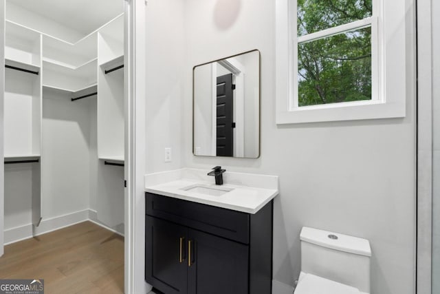 bathroom with vanity, wood-type flooring, and toilet