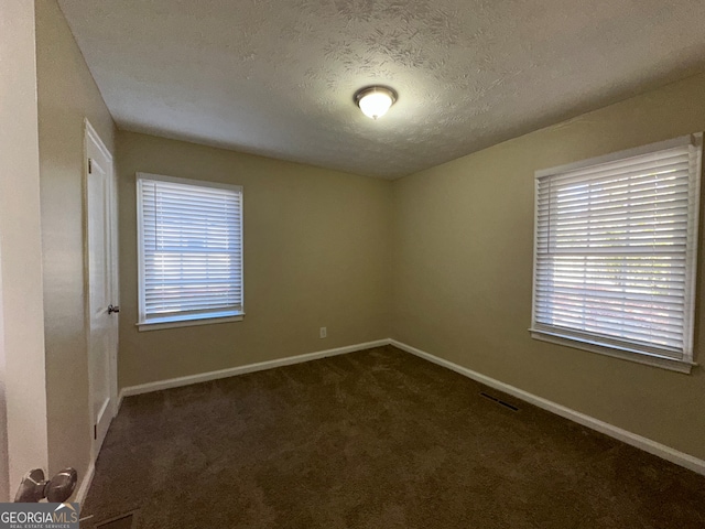 carpeted empty room featuring a healthy amount of sunlight and a textured ceiling