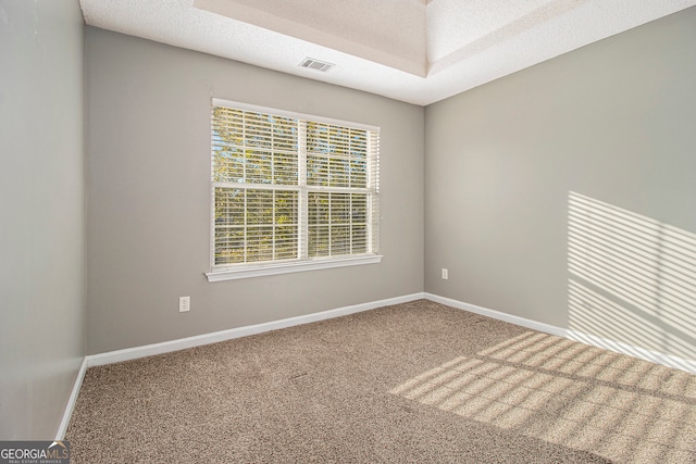 carpeted spare room featuring a textured ceiling and a healthy amount of sunlight