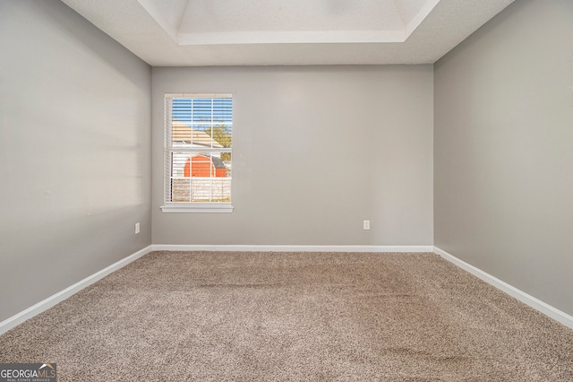 spare room with carpet flooring and a textured ceiling