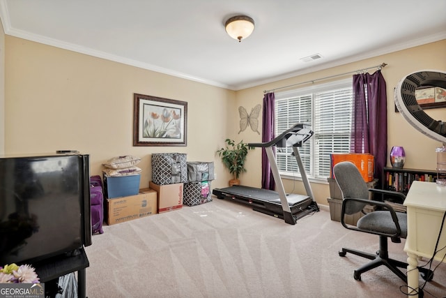 interior space featuring carpet floors and ornamental molding