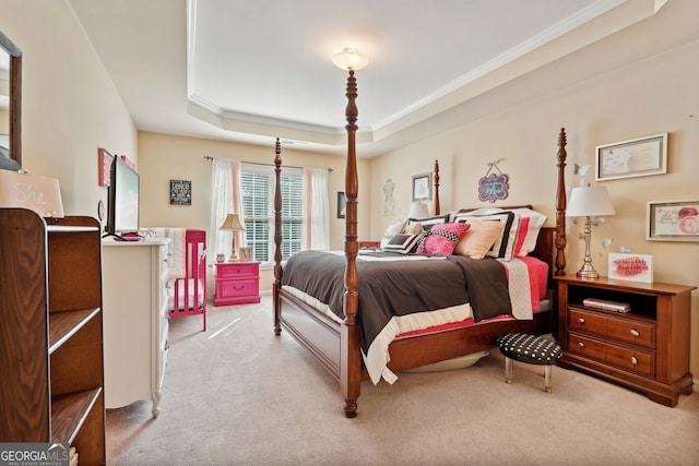 bedroom with light carpet and a tray ceiling