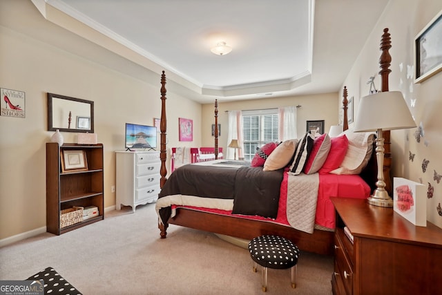 carpeted bedroom with a raised ceiling