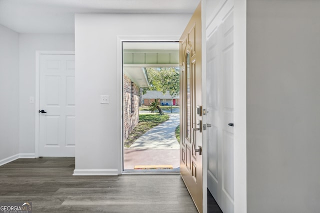 foyer featuring dark wood-type flooring