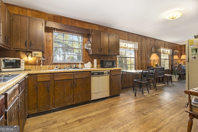 kitchen featuring white dishwasher, light wood-type flooring, sink, and a wealth of natural light