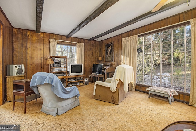 carpeted living room featuring beam ceiling and wooden walls