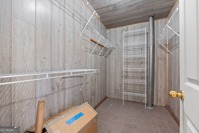 walk in closet featuring carpet