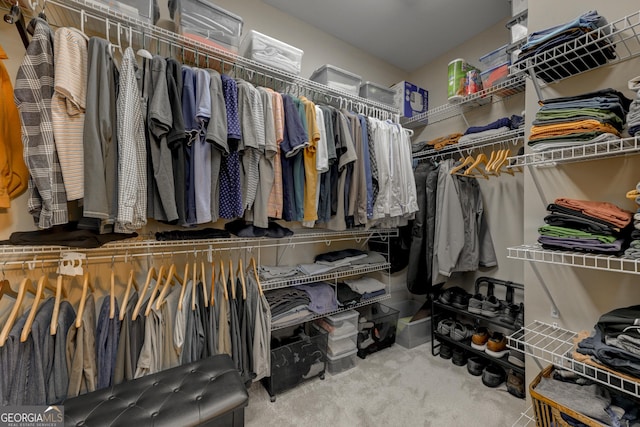 walk in closet with carpet floors