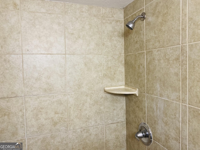 interior details featuring tiled shower