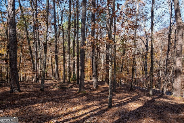 view of local wilderness