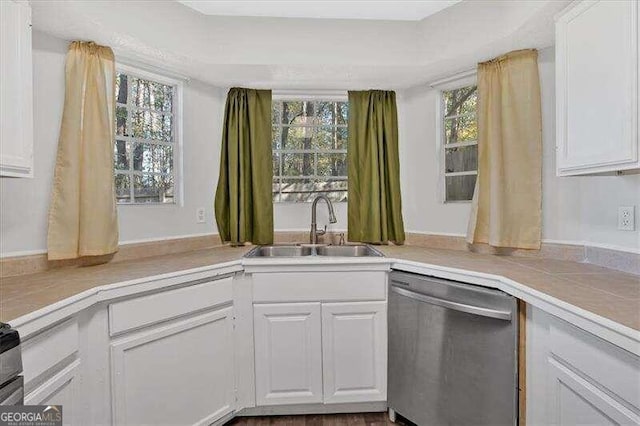 kitchen featuring white cabinetry, stainless steel dishwasher, and sink