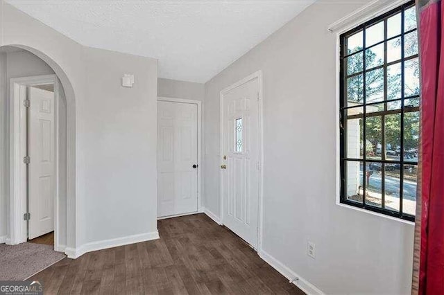 entryway with dark hardwood / wood-style flooring