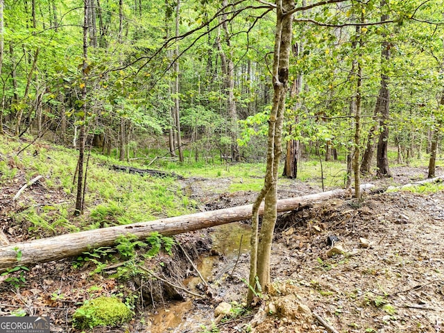 view of local wilderness