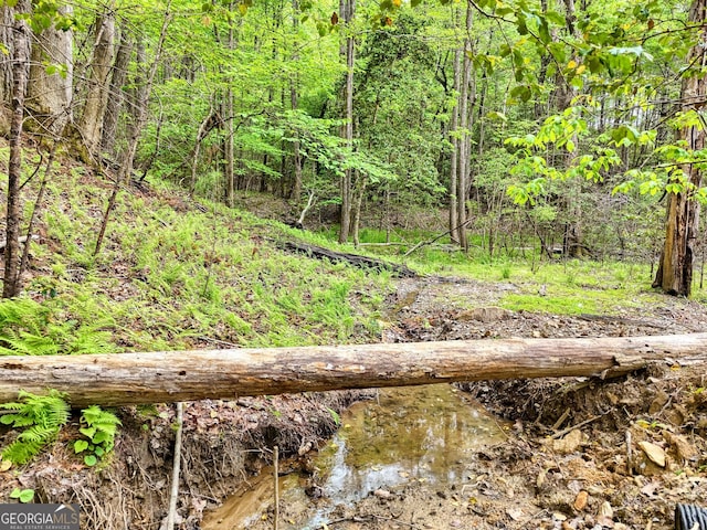 view of local wilderness