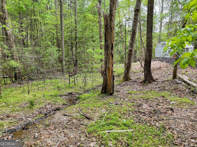 view of local wilderness