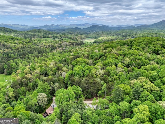 birds eye view of property featuring a mountain view