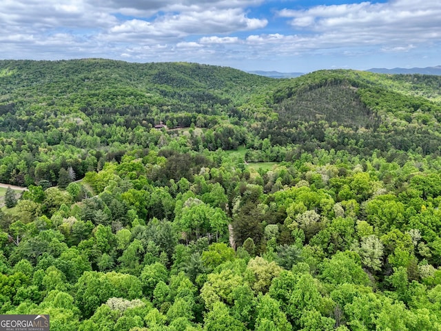 view of mountain feature