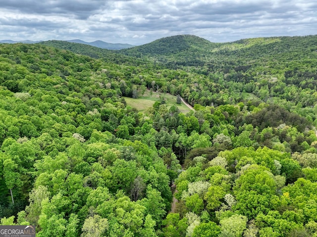 drone / aerial view with a mountain view