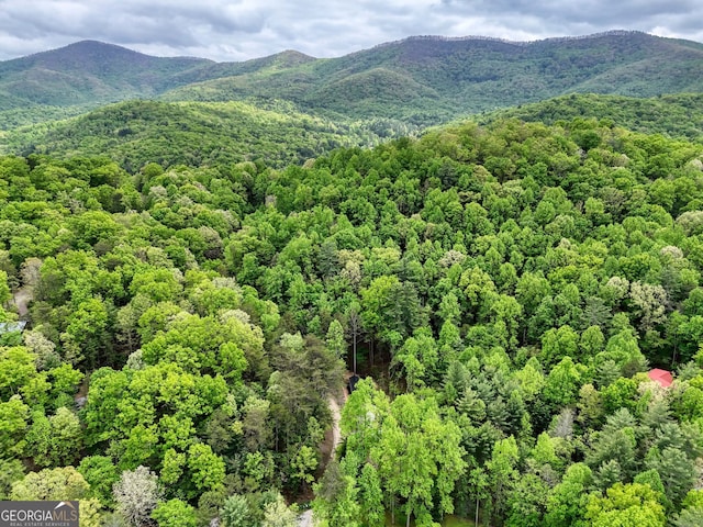 property view of mountains