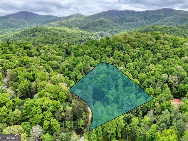 drone / aerial view with a mountain view