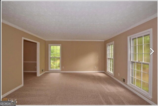 spare room featuring crown molding, carpet floors, and a textured ceiling