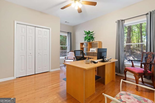 office featuring ceiling fan, light hardwood / wood-style flooring, and a healthy amount of sunlight