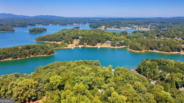 drone / aerial view featuring a water and mountain view