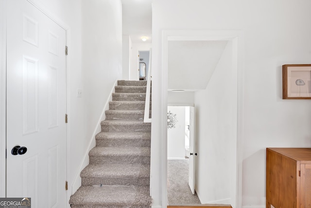 stairway featuring carpet flooring