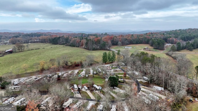 bird's eye view featuring a rural view, a mountain view, and a view of trees