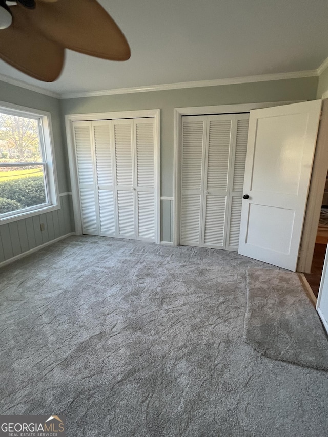 unfurnished bedroom with carpet flooring, multiple closets, ceiling fan, and ornamental molding