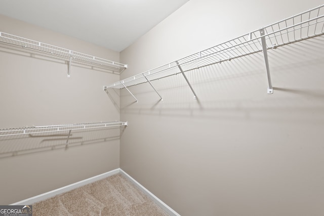 walk in closet with carpet