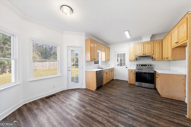 kitchen with dark wood-type flooring, sink, tasteful backsplash, ornamental molding, and stainless steel appliances