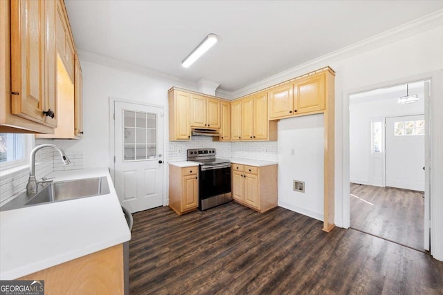 kitchen featuring sink, crown molding, dark hardwood / wood-style floors, and stainless steel electric range oven