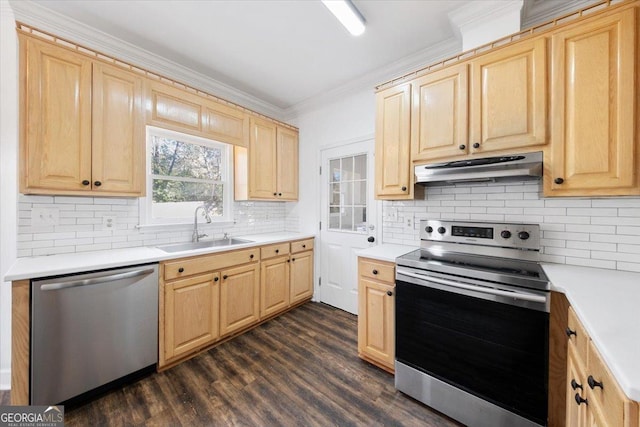 kitchen with appliances with stainless steel finishes, sink, backsplash, dark hardwood / wood-style flooring, and crown molding