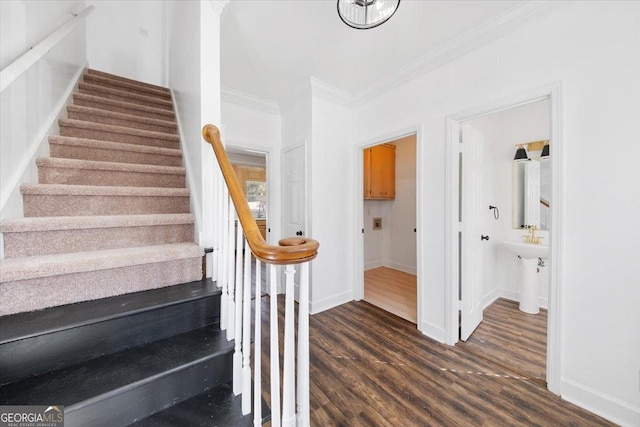 stairs featuring hardwood / wood-style floors and ornamental molding