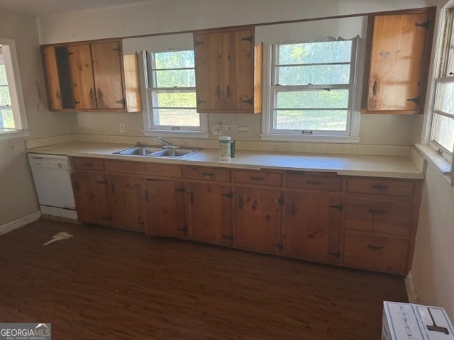 kitchen featuring dark hardwood / wood-style flooring, white dishwasher, plenty of natural light, and sink