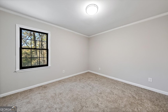 unfurnished room with carpet flooring and crown molding