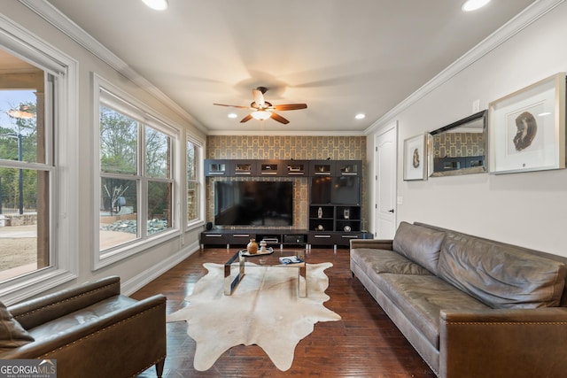 living room featuring ornamental molding, dark hardwood / wood-style floors, and ceiling fan