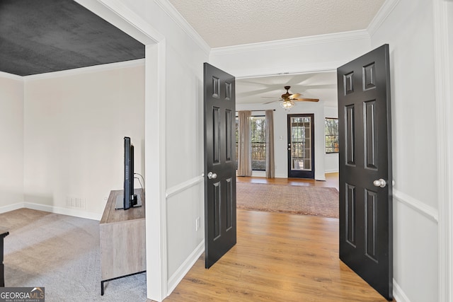 corridor with light hardwood / wood-style floors, a textured ceiling, and ornamental molding