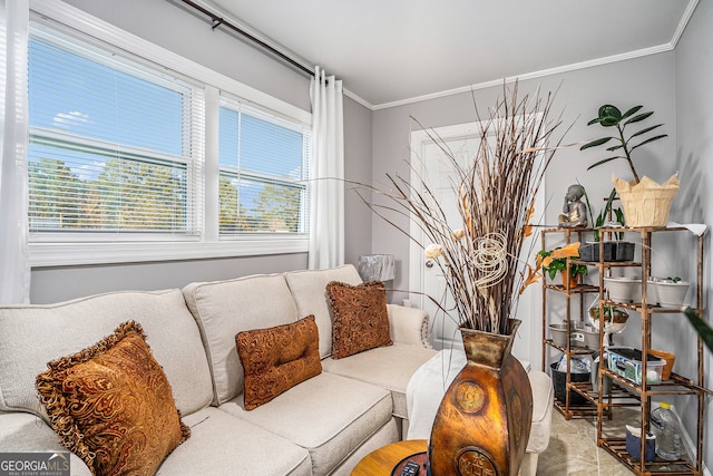 living room featuring crown molding and a healthy amount of sunlight