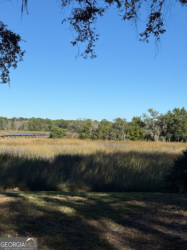 view of nature