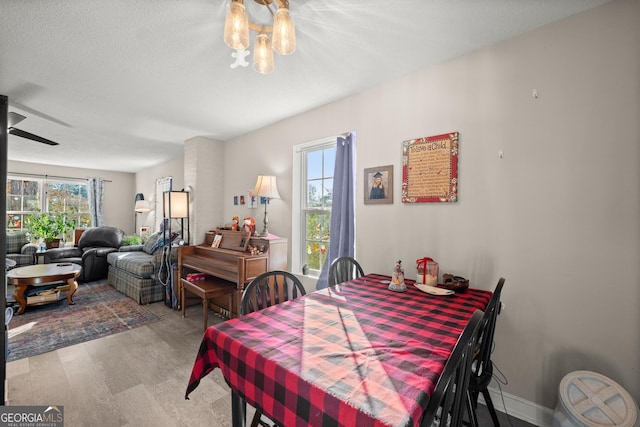 dining space featuring a healthy amount of sunlight, wood-type flooring, and a textured ceiling