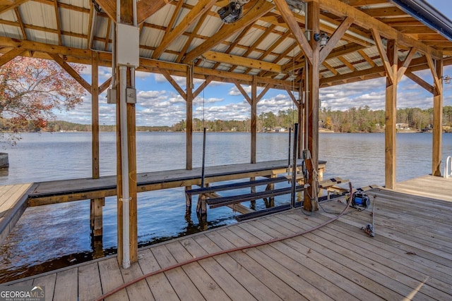 dock area with a water view