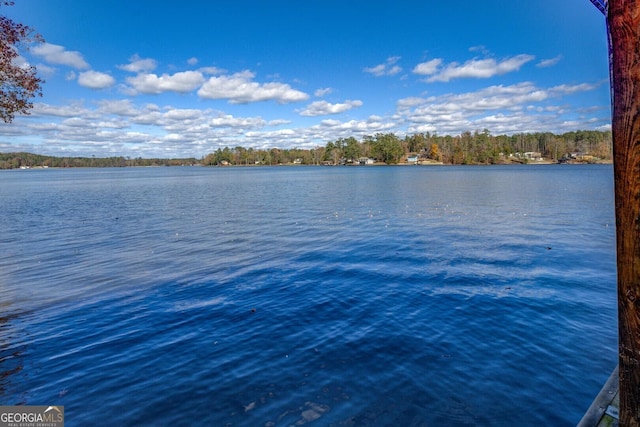 property view of water