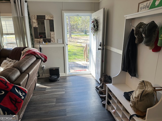 mudroom featuring dark hardwood / wood-style flooring