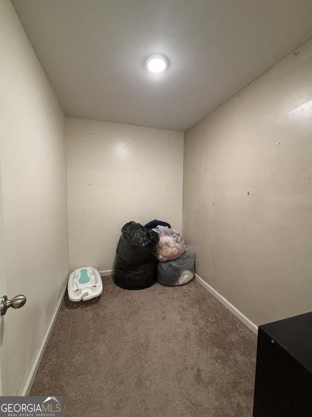 miscellaneous room with carpet floors