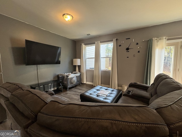 living room with wood-type flooring