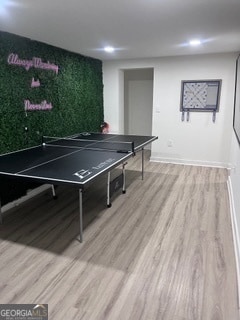 playroom featuring wood-type flooring