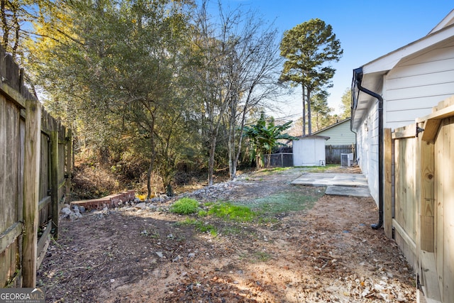 view of yard with a patio area and a storage shed