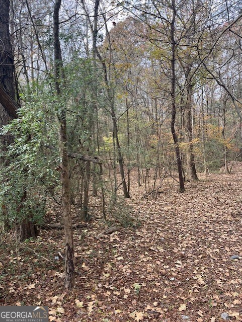 0 Old Bill Cook Rd, South Fulton, GA 30349